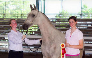 Champion ABD Miss Starbucks
