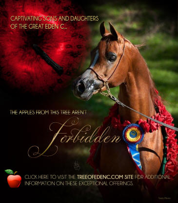 Eden C Foals eblast