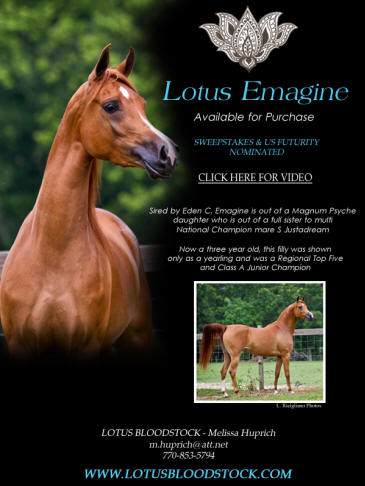 Lotus Emagine eblast